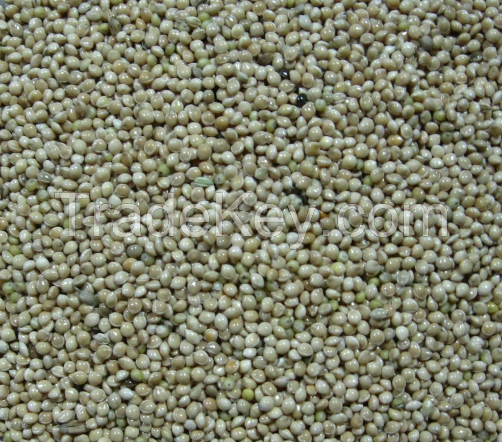 MILLET WHITE