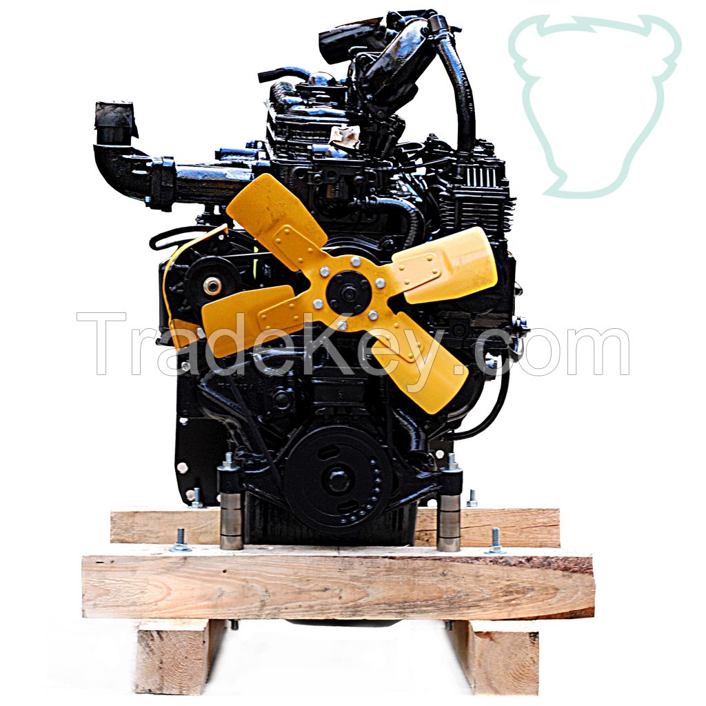 Engine D-240/243 for tractor Belarus