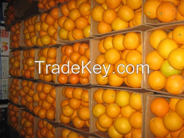 Fresh Oranges