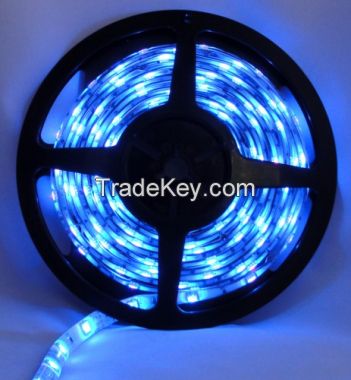 LED Strip SMD 5050 IP65 Blue - 5 Meter Pack