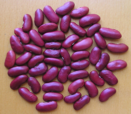 dark red kidney beans