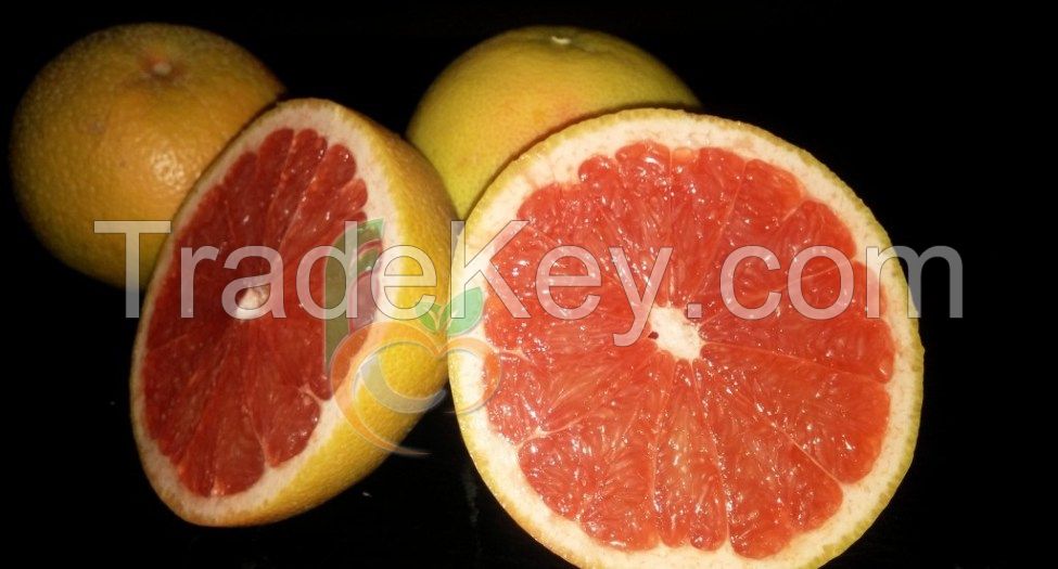 Grapefruit