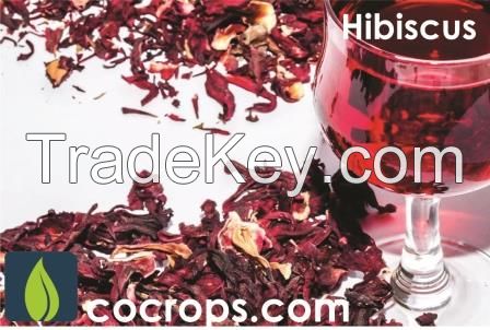 Hibiscus