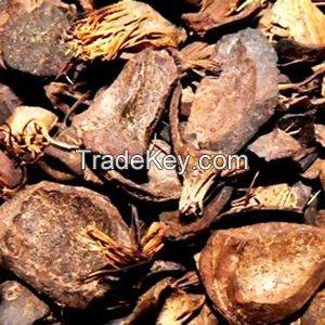 PALM KERNEL SHELL