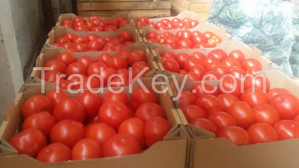 Tomatoes red round