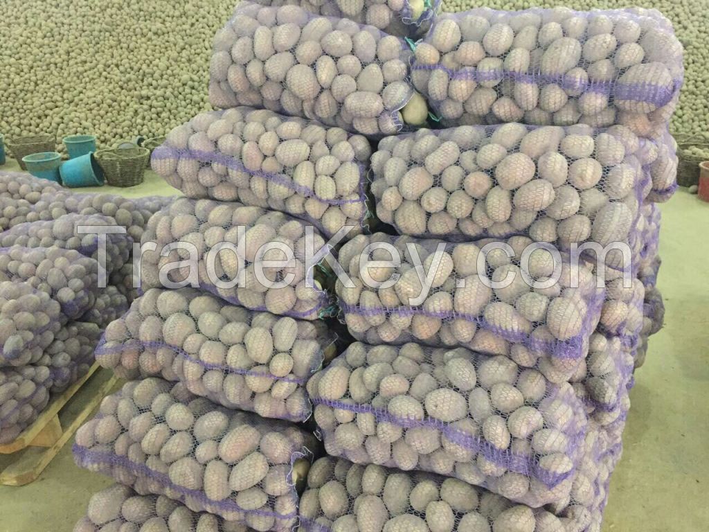 Quality Potatoes By Wholesale - For Export