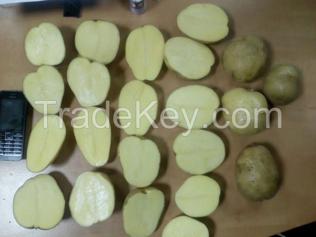 Quality Potatoes By Wholesale - For Export