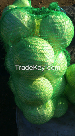 High-Quality Cabbage By Wholesale