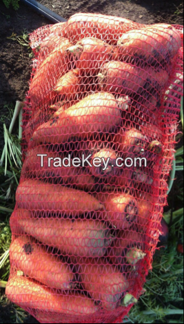 Carrots By Wholesale - For Export