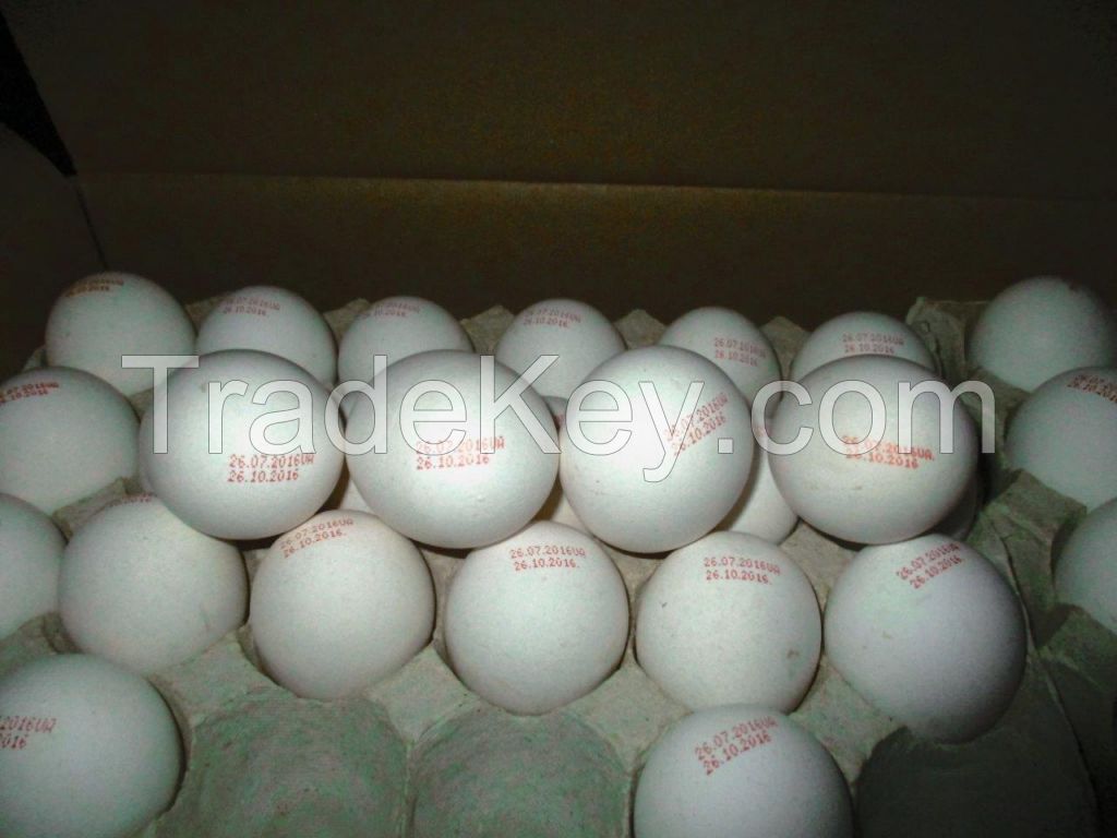 Chicken Eggs