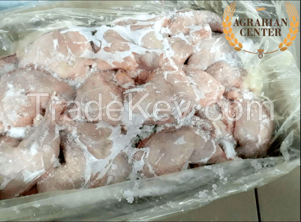 CHICKEN MEAT (whole chicken, fillet, legs, wings)