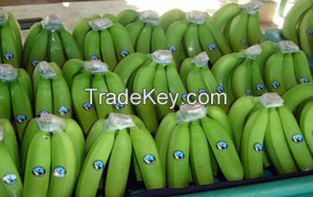 FRESH CAVENDISH BANANAS