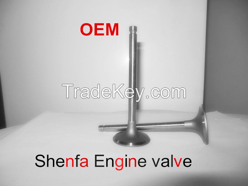 Intake & Exhaust Engine Valves for Mitsubishi 4D56 Valve