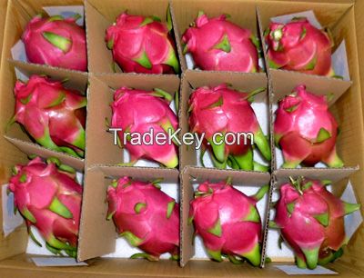 FRESH DRAGON FRUIT FROM VIETNAM