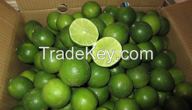 VIETNAM FRESH SEEDLESS LIME