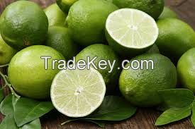 FRESH SEEDLESS LIME FROM VIETNAM