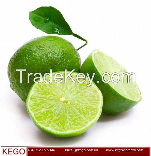 FRESH SEEDLESS LIME FROM VIETNAM