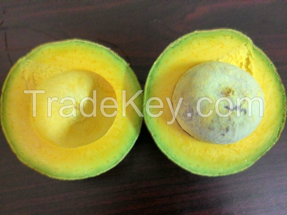 Fresh Booth Avocado From Vietnam With High Quality