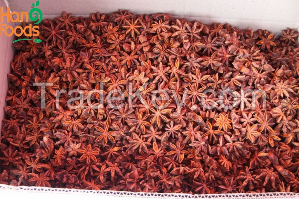 Dried Star Anise Spices