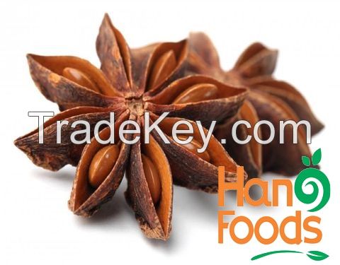 Dried Star Anise Spices