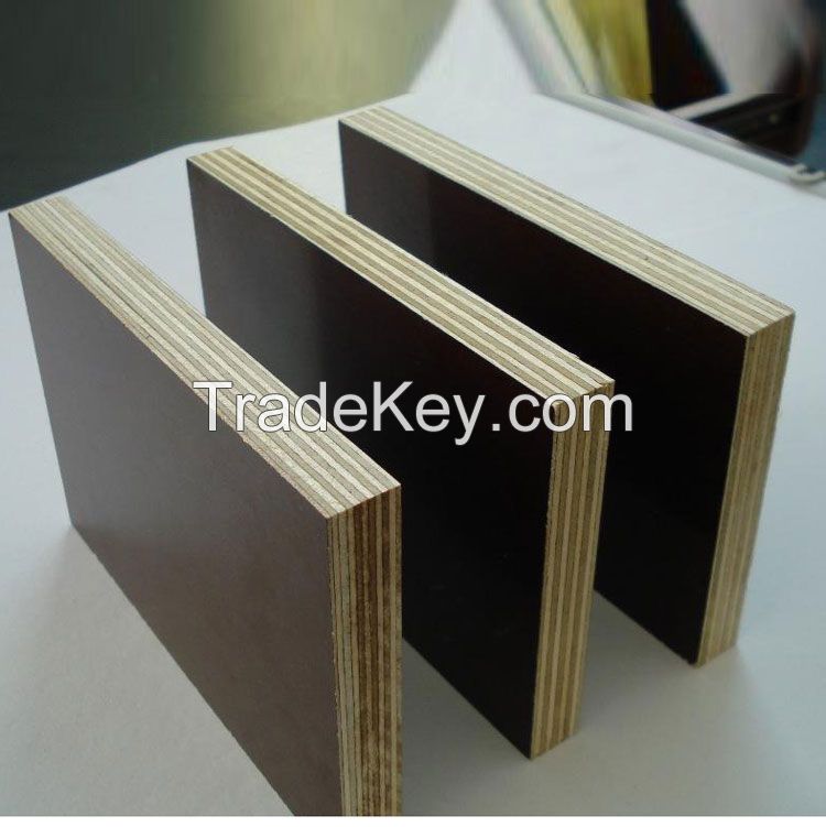 18mm black film faced plywood for construction