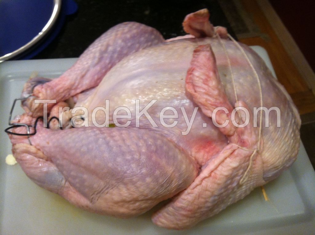 Whole Frozen Turkey Duck &amp; Chicken Meat