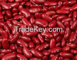 kidney beans