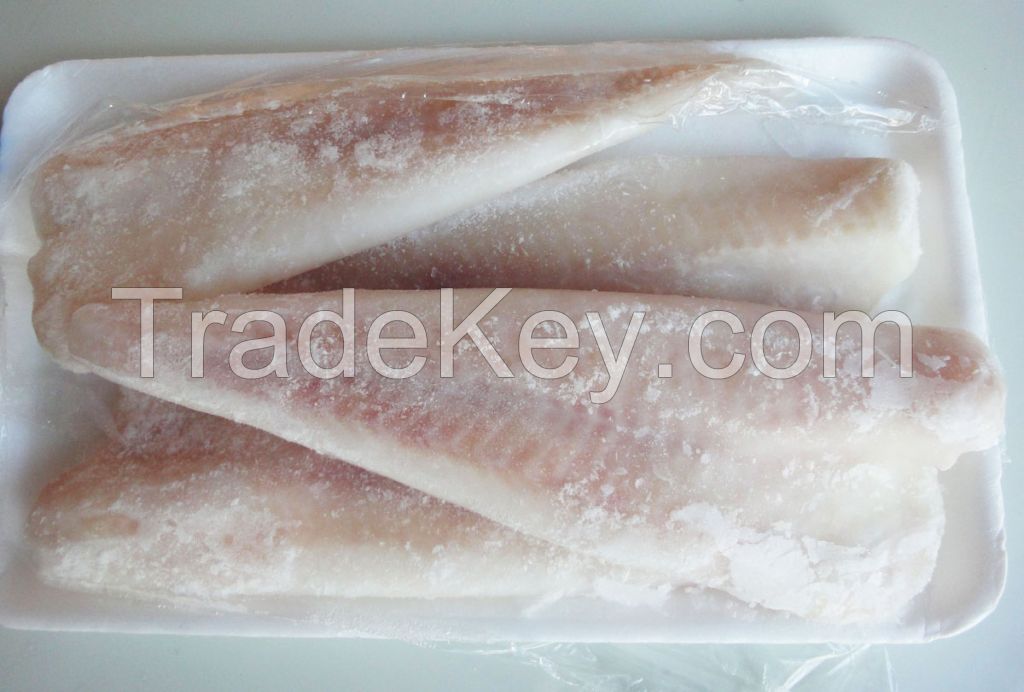 FROZEN ALASKAN POLLOCK FISH