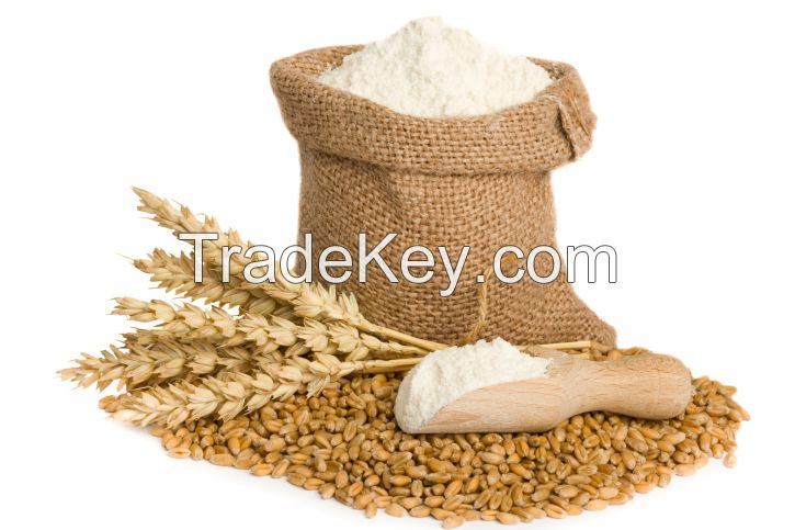 Flour all grades and kind including milling wheat