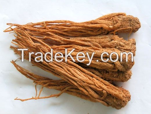 Radix Angelicae Sinensis/Chinese Angelica/Angelicae Sinensis/Dang gui/herb