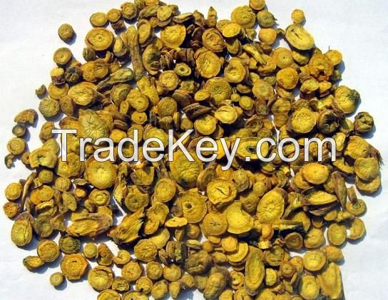 Radix Scutellariae /Basical Skullcap Root/ Huang Qin