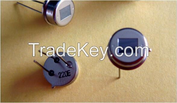 Pyroelectric Passive Infrared Sensor RE200B