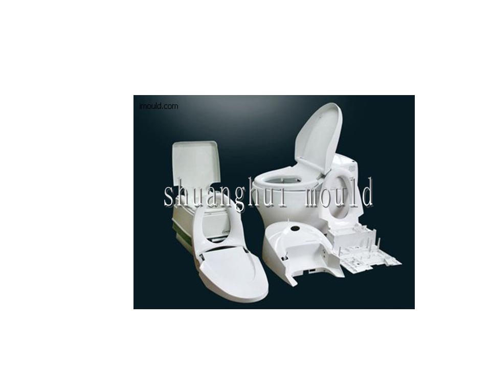 Closet/Toilet  Mould