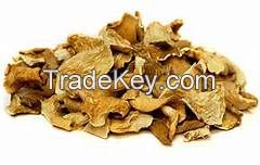 dried oyster mushrooms