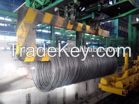 5.5mm wire rod for constructions/China supperlier steel wire rod