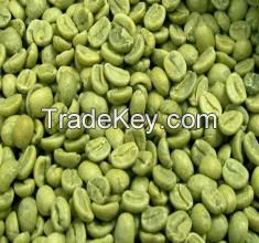 Green Coffee Bean Extract best quality 