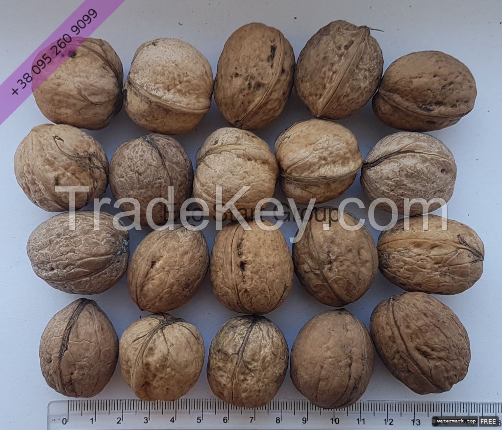 Walnut Kernels. Light Halves (80%)