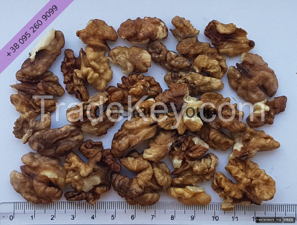 Walnut Kernels. Light pieces (1/4)