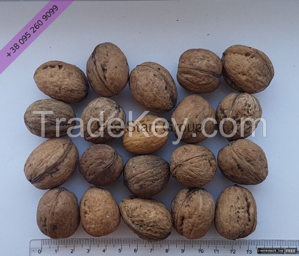 Walnut Kernels. Extra Light Halves (80%)