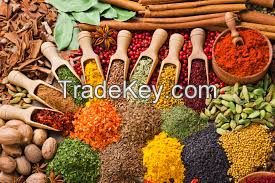 Indian Spices