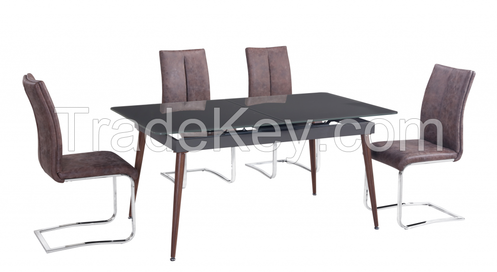 Modern, Expandable Dining Table