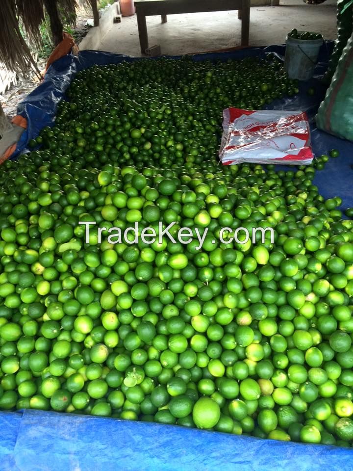 HIGH QUALITY LIME FROM VIET NAM