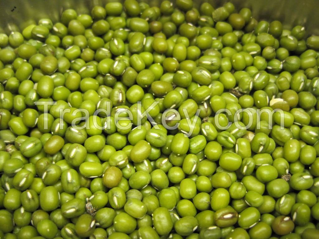 Organic green mung beans