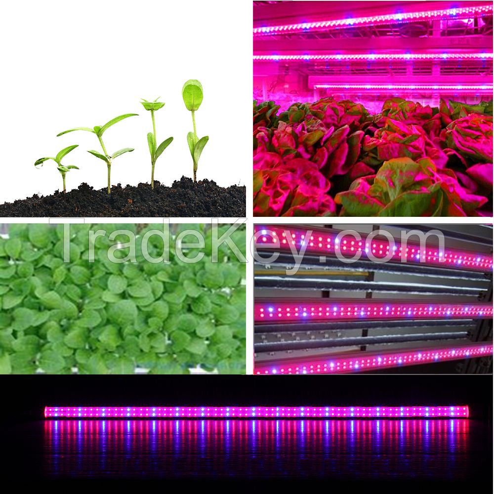 integrated T8/T5 Led Indoor Grow LIght Full Spectrum or RB Ratio