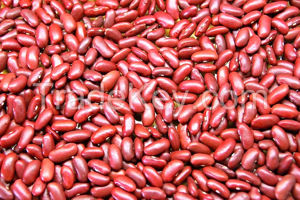 Red Kidney Beans/ Red Speckled Kidney Beans