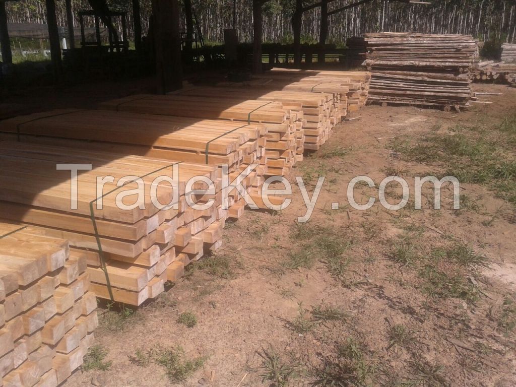 teak squares