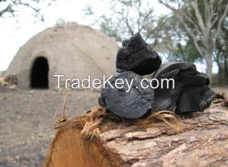 Paraguayan Hardwood Charcoal