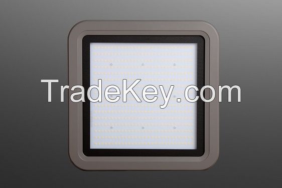 LED flood Lights