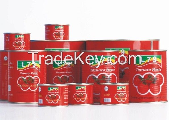 70-4500g canned tomato paste with high quality 2016 crop 