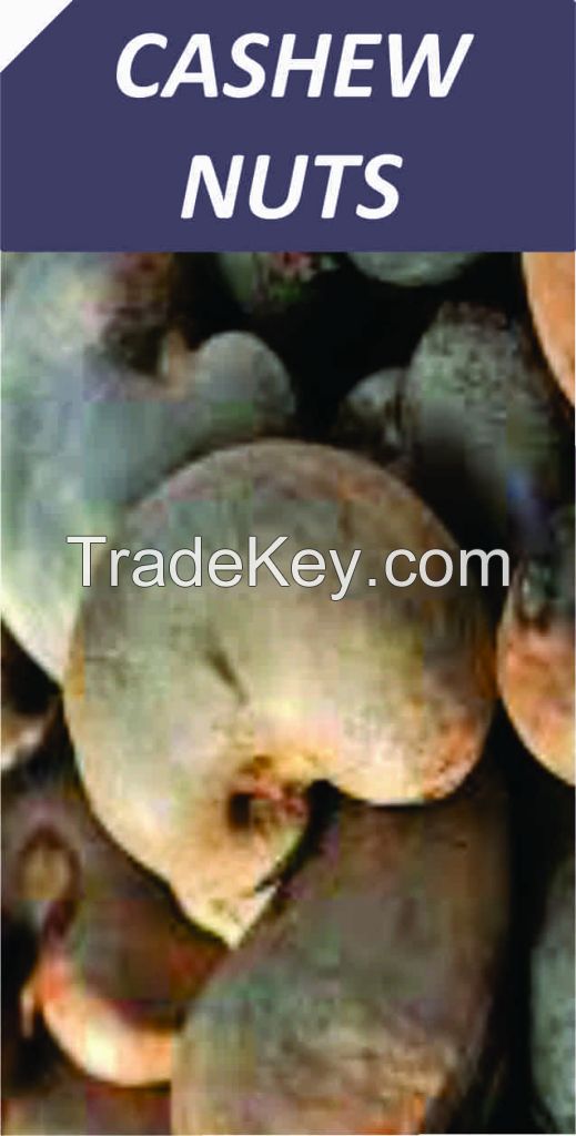 CASHEW NUTS